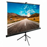 Экран Cactus TriExpert CS-PSTE-160x160-BK, 160x160 см, 1:1, напольный, черный