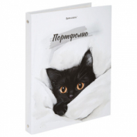 Папка-портфолио универсальная, 4 кольца, 20 файлов, 7БЦ матовая, BRAUBERG "Cat", 107557, 117557 Папка-портфолио универсальная, 4 кольца, 20 файлов, 7БЦ матовая, BRAUBERG "Cat", 107557, 117557