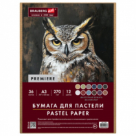 Бумага для пастели ФАКТУРНАЯ, А3, в коробке, 36 листов, 12 цветов, 270 г/м2, BRAUBERG ART, 117760 Бумага для пастели ФАКТУРНАЯ, А3, в коробке, 36 листов, 12 цветов, 270 г/м2, BRAUBERG ART, 117760
